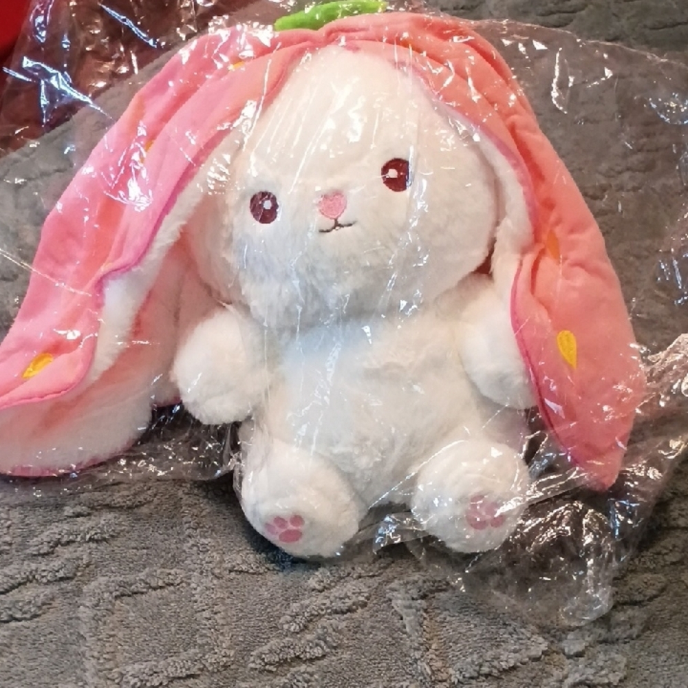 Adorable Big Floppy Ears  Pink and White Plush Bunny